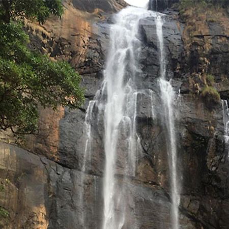Coastal Grand Mahendravanam - Kolli Hills Esterno foto