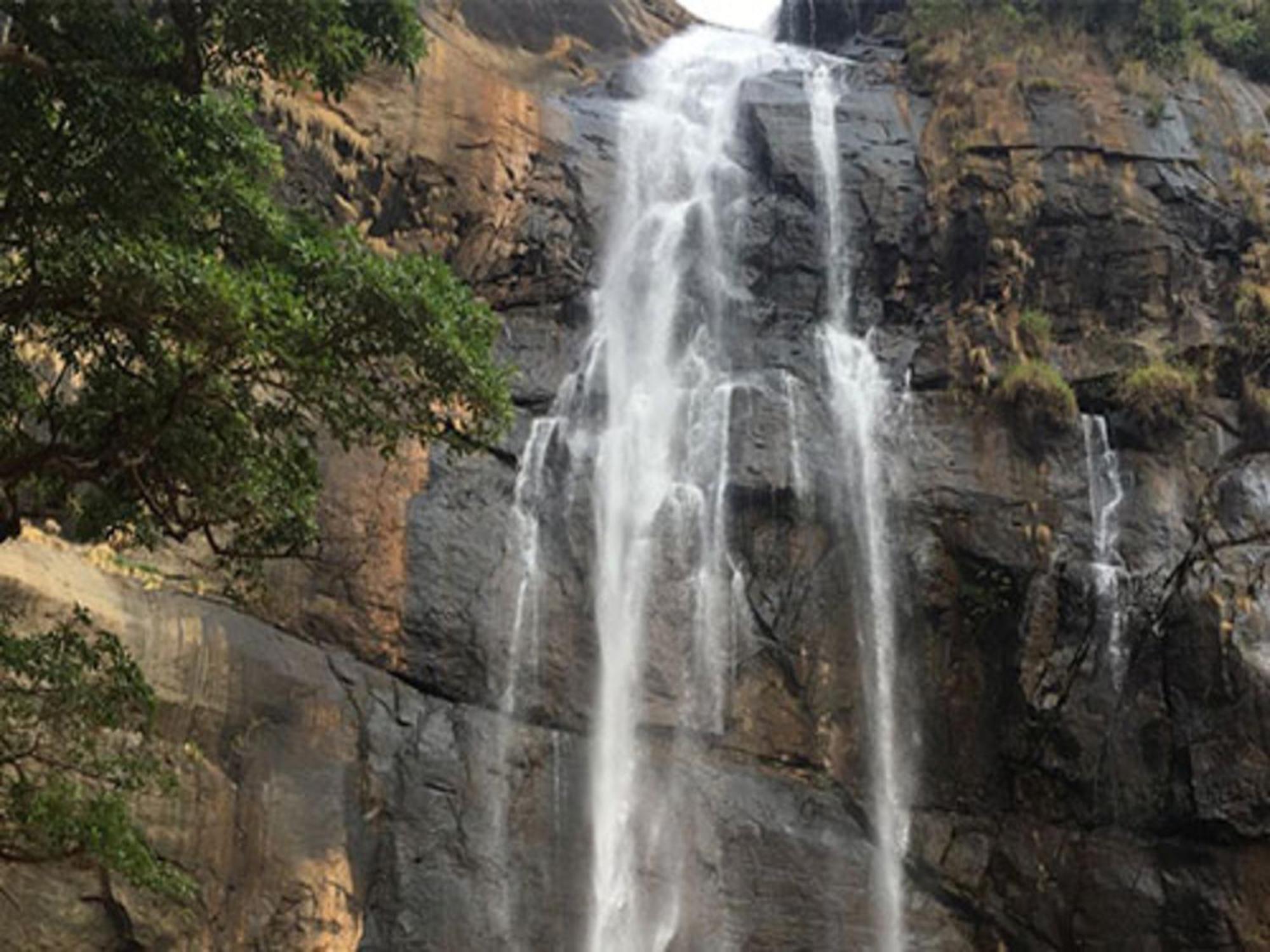 Coastal Grand Mahendravanam - Kolli Hills Esterno foto