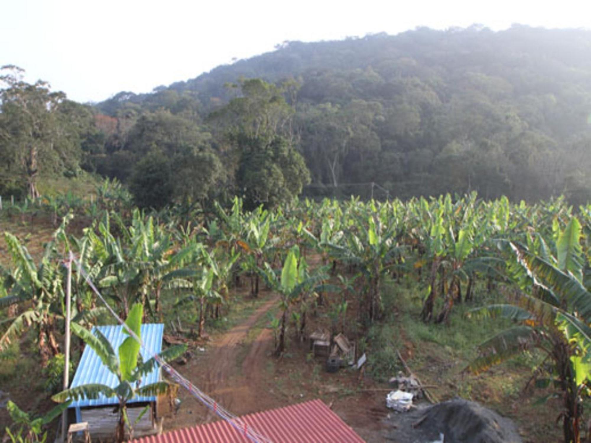 Coastal Grand Mahendravanam - Kolli Hills Esterno foto